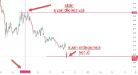 77.webp 77.webp