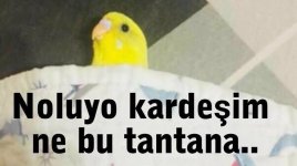 images (11).jpeg