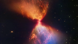 1668690005842.png