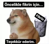 images (1) (16).jpeg
