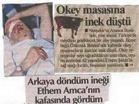 images (1).jpeg