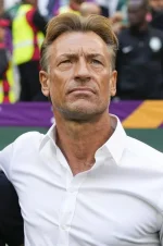 1669120415465.webp