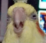 1669906023231.png
