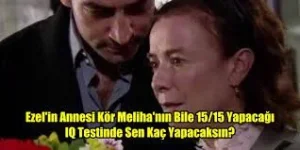 1671624613549.webp
