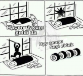 suşi.png