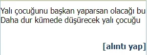 1673202187872.webp
