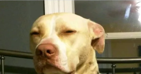 1674209490690.png