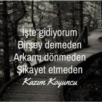 55b9f8f9d746184b12523393273fcce0.jpg