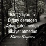 55b9f8f9d746184b12523393273fcce0.webp