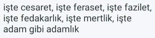 7a36d4a.jpg