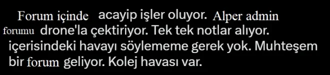 11.webp