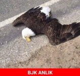 76B9294A-FBB4-4758-99B8-F8D2A617FAD9.jpeg