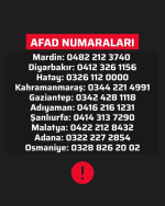 1675669530215.png