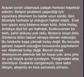 1675877317870.webp