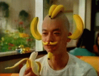 tumblr_mdpfl7SYNa1qzglhk540.gif