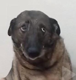1677348372251.png
