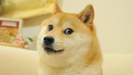 1677691731620.png