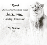 1678187501739.png