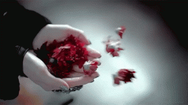 avuc-cicek.gif