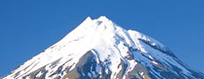 1678997260563.png