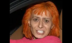 1679035653908.png