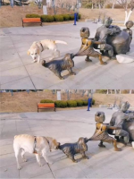 1679674632549.png