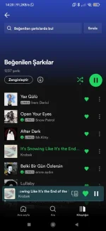 Screenshot_2023-03-31-14-20-44-604_com.spotify.music.webp