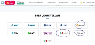 Ekran Alıntısı.webp