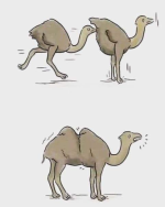 1681502520408.png