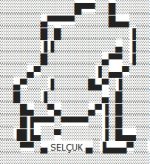 selçuk sıçma.jpg