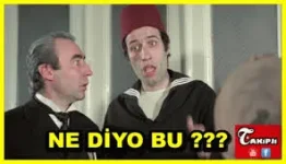 images (7).webp