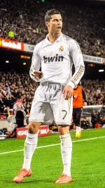1684709798504.webp