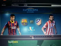 arda.webp