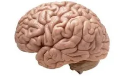 images.webp