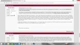 GSBASKET KADIN TAKIM BÜTÇESİ.webp