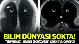 1686296913961.webp