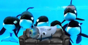 1687432213503.png