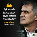 1688234377038.webp