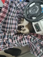 20230627_090603.webp