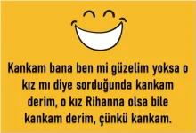 1688320998169.webp