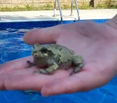 20230707_172549.webp