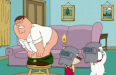 IMG_1333.gif