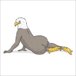 drawings-of-birds21.jpg