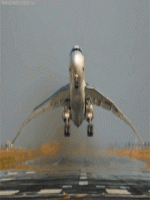 1690037423008.gif