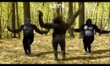 1690304427022.gif