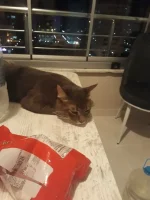 20180806_224142.webp