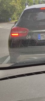 IMG_20230920_135342.jpg