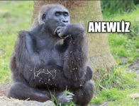 1695488003198.png