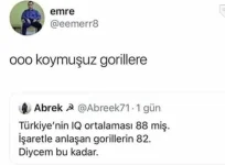 1696409270732.webp