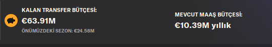 bütçe.png